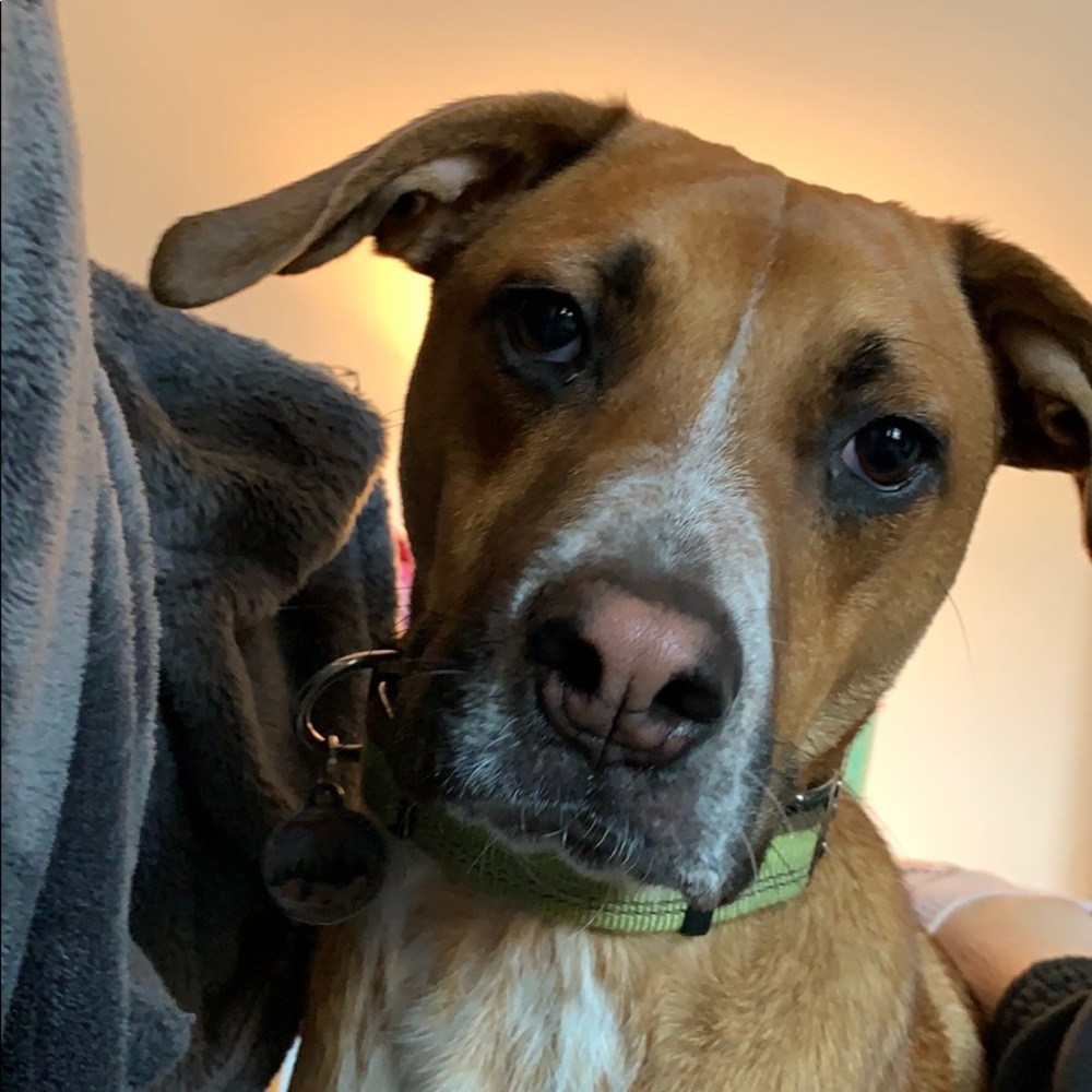 Meet your Posher, Valarie